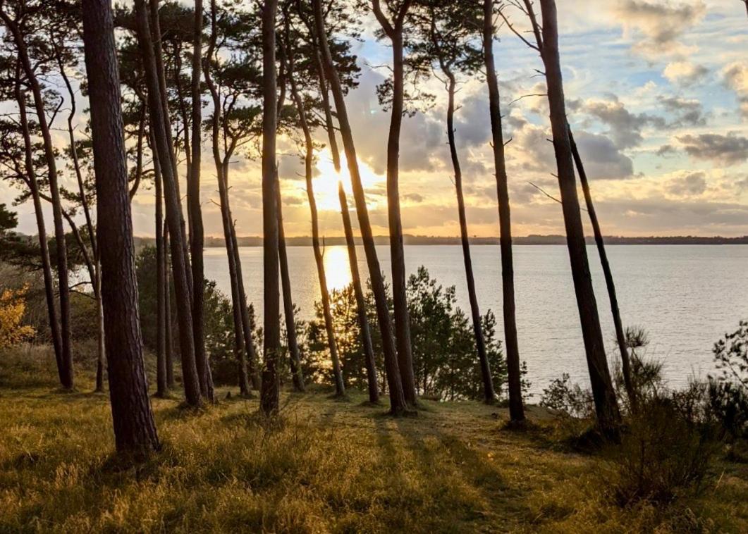 Tallskog - Dein Apartment Am Naturstrand Hohen Wieschendorf Hohenkirchen  Eksteriør billede